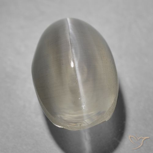 1.43ct Натуральный Очень светло-серый Силлиманит Кошачий Глаз, Овал, Прозрачный