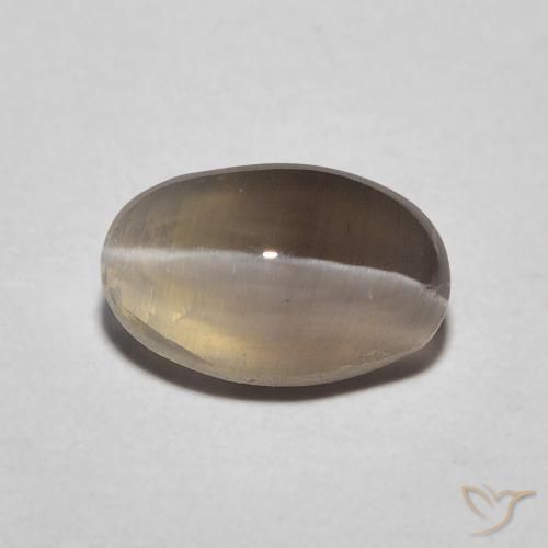 1.20ct Натуральный Эспрессо коричневый Силлиманит Кошачий глаз, Овал, Полупрозрачный