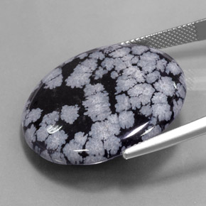 27.54 карата, натуральный Серо-бело-черный Снежинка Обсидиан, Огранка Круг, Непрозрачный