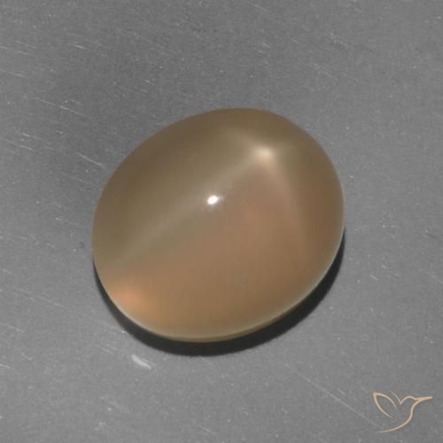 5.84ct Натуральный Средне-темно-оранжевый Звездчатый Лунный Камень, Овал, Полупрозрачный