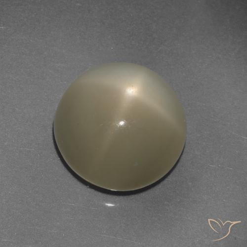 9.72ct Натуральный Светло-кофейный коричневый Звездчатый Лунный Камень, Круглый, Полупрозрачный