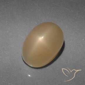 5.21 карата, натуральный Золотой Звездчатый Лунный Камень, Огранка Овал, Полупрозрачный