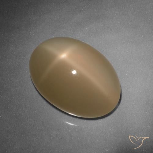9.26ct Натуральный Канталупа Апельсин Звездчатый Лунный Камень, Овал, Полупрозрачный