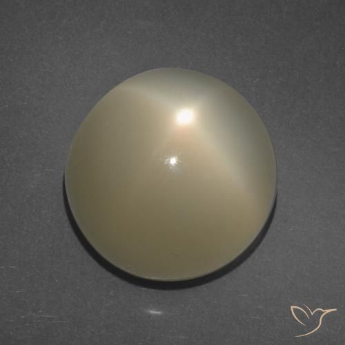 11.34ct Натуральный Светло-кофейный коричневый Звездчатый Лунный Камень, Круглый, Полупрозрачный