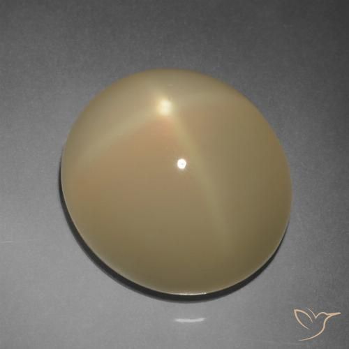 11.20ct Натуральный Светло-коричневая тортилья Звездчатый Лунный Камень, Овал, Полупрозрачный