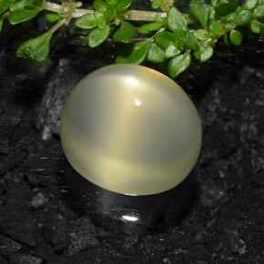 11.57 карата, натуральный Светло-желтый Звездчатый Лунный Камень, Огранка Овал, Полупрозрачный