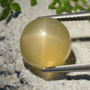 7.32 карата, натуральный Средний желтый Звездчатый Лунный Камень, Огранка Круг, Полупрозрачный