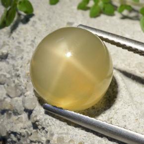 7.32 карата, натуральный Средний желтый Звездчатый Лунный Камень, Огранка Круг, Полупрозрачный