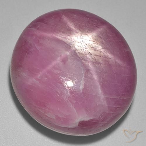 56.00ct Натуральный Medium Dark-Purple Звездчатый Рубин, Овал, Непрозрачный