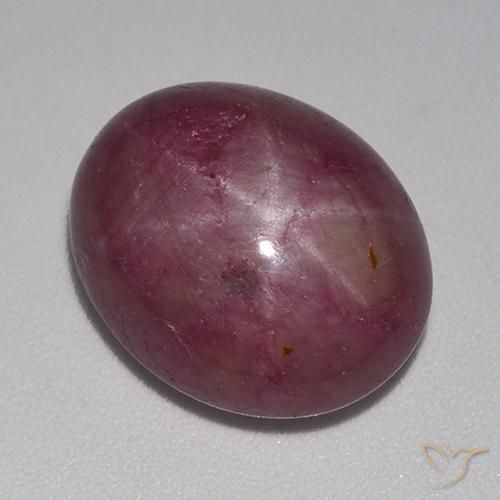 14.78ct Натуральный Средне-темно-фиолетовый Звездчатый Рубин, Овал, Непрозрачный