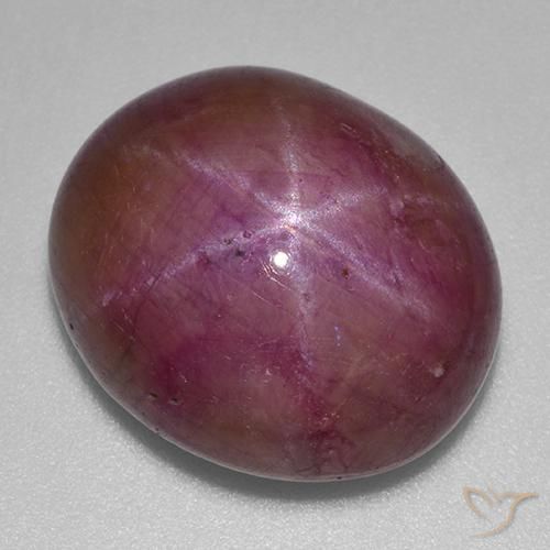 23.70ct Натуральный Сливовый фиолетовый Звездчатый Рубин, Овал, Непрозрачный