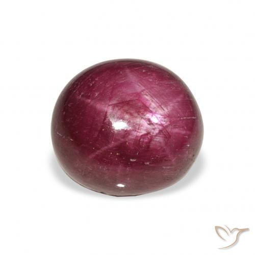 9.87ct Натуральный Medium Dark-Purple Звездчатый Рубин, Овал, Непрозрачный