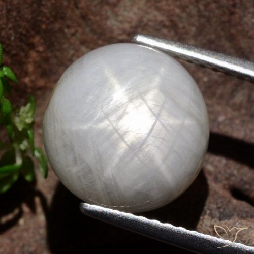 8.80ct Натуральный Очень светло-серый Звездчатый сапфир, Круглый, Непрозрачный