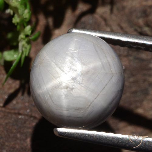6.61ct Натуральный Средне-темно-серый Звездчатый сапфир, Овал, Непрозрачный