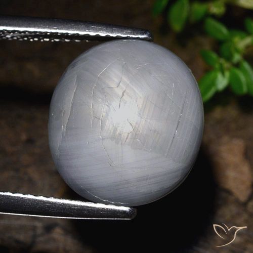 14.39ct Натуральный Голубовато-серый Звездчатый сапфир, Овал, Непрозрачный