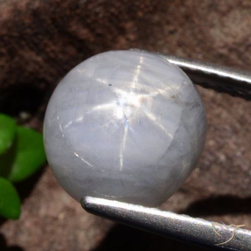5.35ct Натуральный Светло-серый Звездчатый сапфир, Овал, Непрозрачный