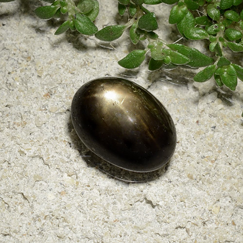 2.41 карата, натуральный Черный Звездчатый сапфир, Огранка Овал, Непрозрачный