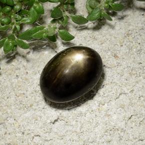 2.41 карата, натуральный Черный Звездчатый сапфир, Огранка Овал, Непрозрачный