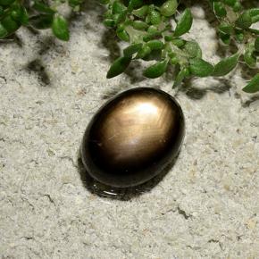 2.06 карата, натуральный Черный Звездчатый сапфир, Огранка Овал, Непрозрачный