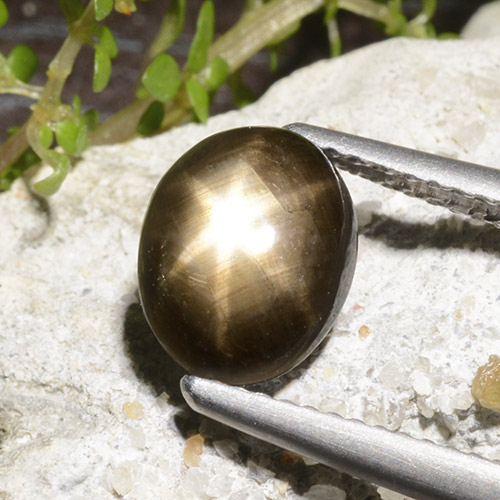 2.78 карата, натуральный Черный Звездчатый сапфир, Огранка Овал, Непрозрачный