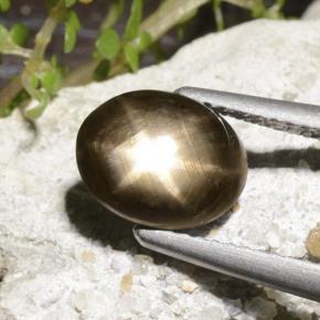 2.78 карата, натуральный Черный Звездчатый сапфир, Огранка Овал, Непрозрачный