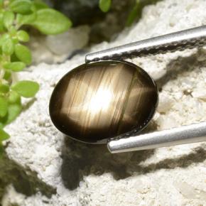 2.32 карата, натуральный Черный Звездчатый сапфир, Огранка Овал, Непрозрачный