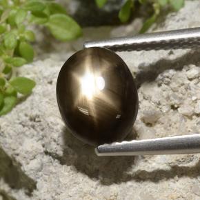 3.33 карата, натуральный Черный Звездчатый сапфир, Огранка Овал, Непрозрачный