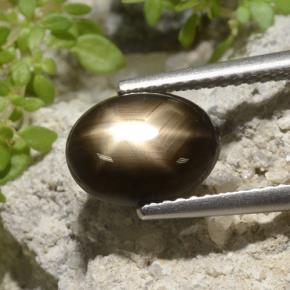 3.33 карата, натуральный Черный Звездчатый сапфир, Огранка Овал, Непрозрачный