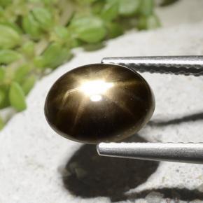 2.54 карата, натуральный Черный Звездчатый сапфир, Огранка Овал, Непрозрачный