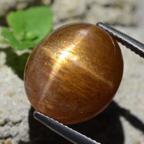 17.89 карата, натуральный Золотисто-коричневый Звездчатый Солнечный Камень, Огранка Овал, Непрозрачный