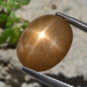 7.47 карата, натуральный Золотисто-коричневый Звездчатый Солнечный Камень, Огранка Овал, Непрозрачный