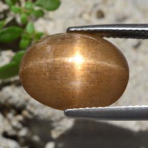 7.47 карата, натуральный Золотисто-коричневый Звездчатый Солнечный Камень, Огранка Овал, Непрозрачный