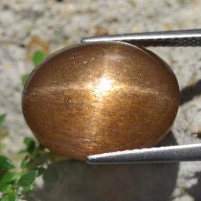 13.59 карата, натуральный Золотисто-коричневый Звездчатый Солнечный Камень, Огранка Овал, Непрозрачный