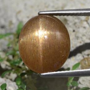 Натуральный Золотисто-коричневый Звёздчатый солнечный камень 6,20 карата Огранка Овал, Непрозрачный