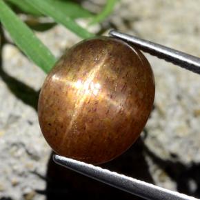 8.75 карата, натуральный Золотисто-коричневый Звездчатый Солнечный Камень, Огранка Овал, Непрозрачный