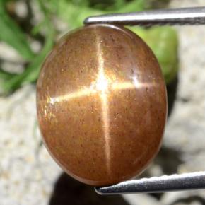 9.10 карата, натуральный Золотисто-коричневый Звездчатый Солнечный Камень, Огранка Овал, Непрозрачный