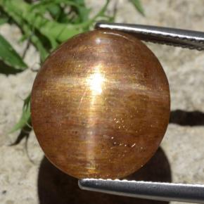 12.29 карата, натуральный Золотисто-коричневый Звездчатый Солнечный Камень, Огранка Овал, Непрозрачный