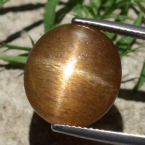 12.58 карата, натуральный Золотисто-коричневый Звездчатый Солнечный Камень, Огранка Овал, Непрозрачный