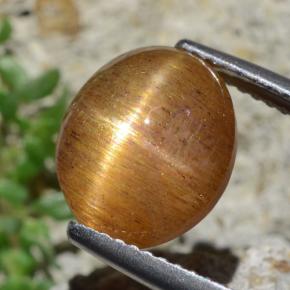 4.53 карата, натуральный Золотисто-коричневый Звездчатый Солнечный Камень, Огранка Овал, Непрозрачный