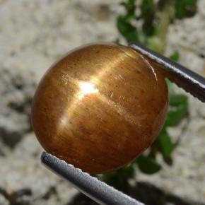 8.30 карата, натуральный Золотисто-коричневый Звездчатый Солнечный Камень, Огранка Овал, Непрозрачный