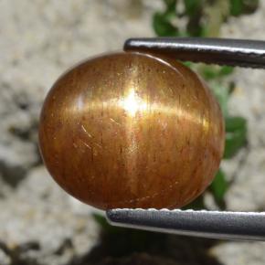 8.30 карата, натуральный Золотисто-коричневый Звездчатый Солнечный Камень, Огранка Овал, Непрозрачный