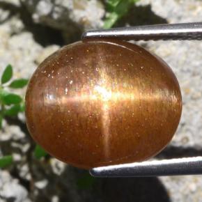 9.51 карата, натуральный Золотисто-коричневый Звездчатый Солнечный Камень, Огранка Овал, Непрозрачный