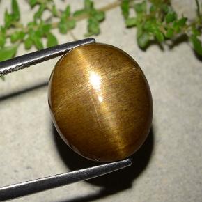 16.93 карата, натуральный Золотисто-коричневый Звездчатый Солнечный Камень, Огранка Овал, Непрозрачный