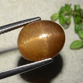 7.51 карата, натуральный Золотисто-коричневый Звездчатый Солнечный Камень, Огранка Овал, Непрозрачный