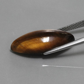 12.68 карата, натуральный Золотисто-коричневый Тигровый глаз, Маркиза, Непрозрачный