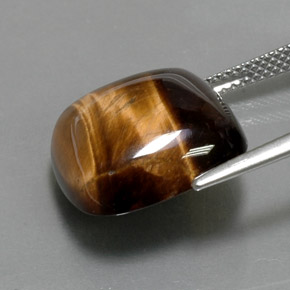13.05 карата, натуральный Золотисто-коричневый Тигровый глаз, Подушка Крой, Непрозрачный