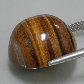 38.29 карата, натуральный Золотисто-коричневый Тигровый глаз, Огранка Круг, Непрозрачный