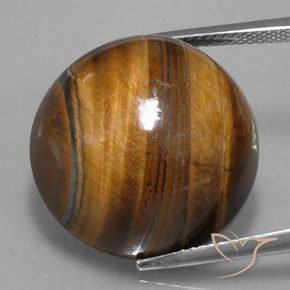 36.45 карата, натуральный Теплый коричневый Тигровый глаз, Огранка Круг, Непрозрачный