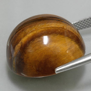 37.73 карата, натуральный Золотисто-коричневый Тигровый глаз, Огранка Круг, Непрозрачный