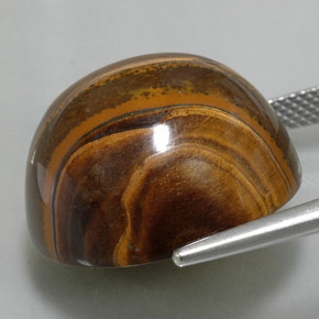 36.02 карата, натуральный Золотисто-коричневый Тигровый глаз, Огранка Круг, Непрозрачный